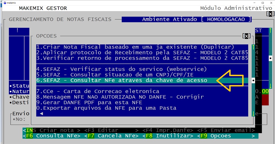 va em 6.SEFAZ - Consultar NFe
